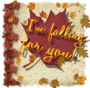 I'm falling for you