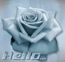 Hello...