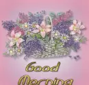 Good Morning