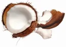 coconut