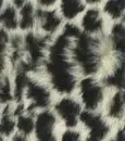 leopard furry