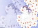 Tomoyo