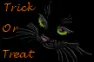 black cat