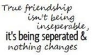 true friendships quote