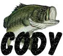 cody