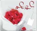 happy feast