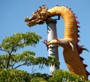 Dino