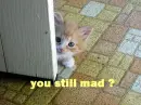you still mad?