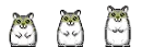 dancing hamsters