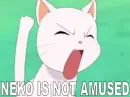 Neko