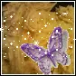 butterfly and glitter