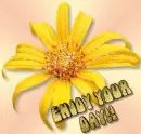 Enjoy Your Day