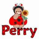Ladybug Bears- Perry