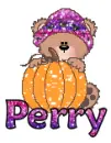 Pumpkin Bear- Perry