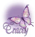 Butterfly Bling Purple Tracey