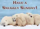 Have a Snuggly Sunday