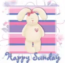 Happy Sunday