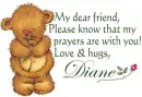 Rose Bear Prayers - Diane