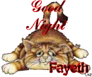Fayeth-Good Night Kitty
