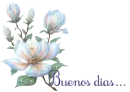 buenos dias