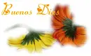 buenos dias