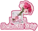 Have a beautiful Day