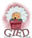 Flower Pot Gied