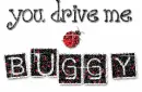 Drive me Buggy