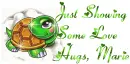 Turtle Sparkle with Saying 