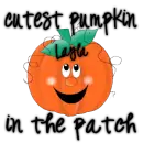 Cutest Pumpkin