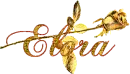 gold rose