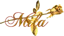 gold rose