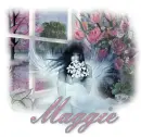 Maggie