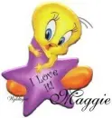 Tweety - I love it! - Maggie