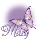 Butterfly Bling Purple Mary
