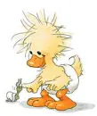 Lil duck