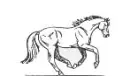 horsey