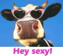 HEY SEXY!