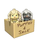 Puppies 4 sale 