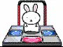 poor bunny