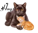 hugs