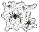 web