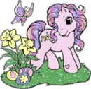 pony
