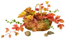 FALL