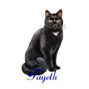 Fayeth