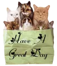 Have a great Day