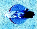 BlueWolfSpirit-tile