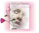 ROSES IN THE RAIN
