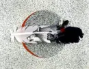 WolfSpirit-tile