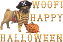Woof! Happy halloween - pirate halloween dog